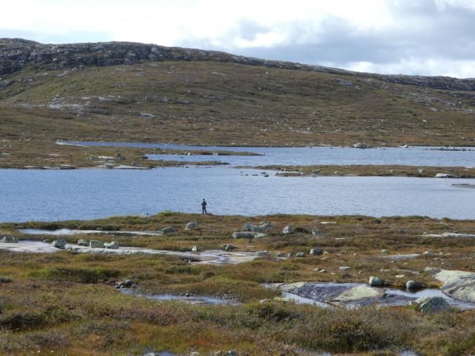 fra et av vannene på roanplatået.jpg