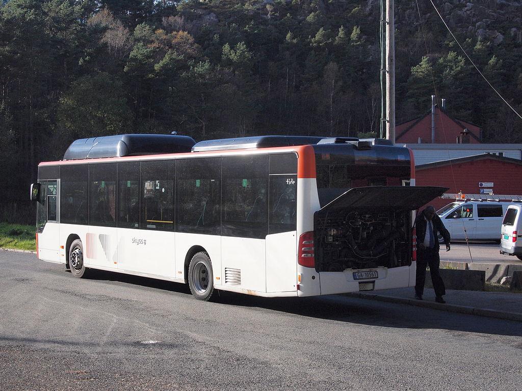 Busstrøbbel (PA090840).JPG