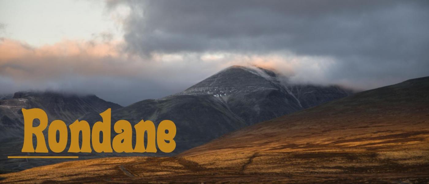 rrKRI_0497 kopier.jpg