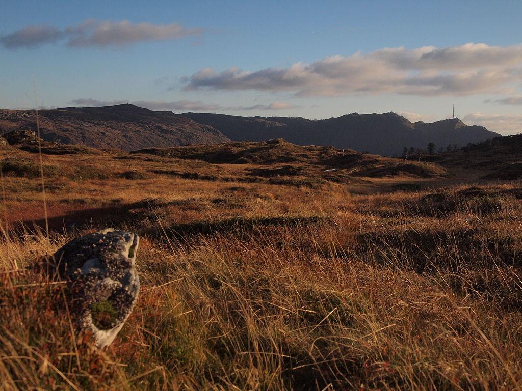 Vaedegga og Ulriksmasten (PA120854).JPG