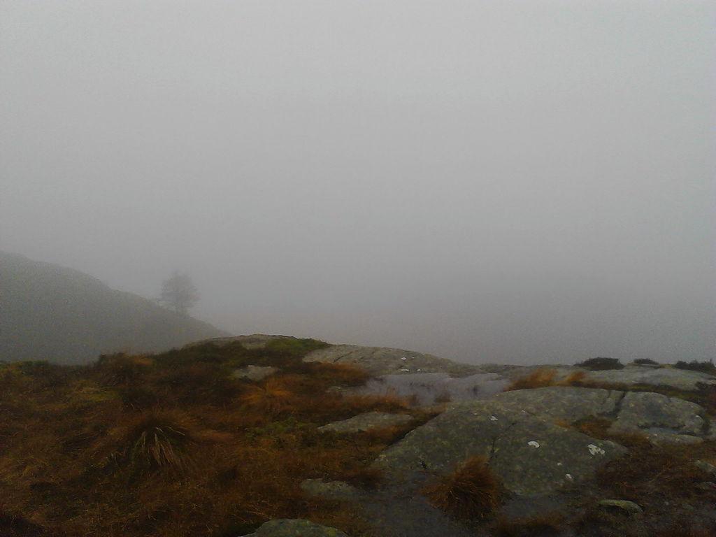 Gravdalsfjellet mot Raunefjorden (IMG_20161113_154437_0).jpg