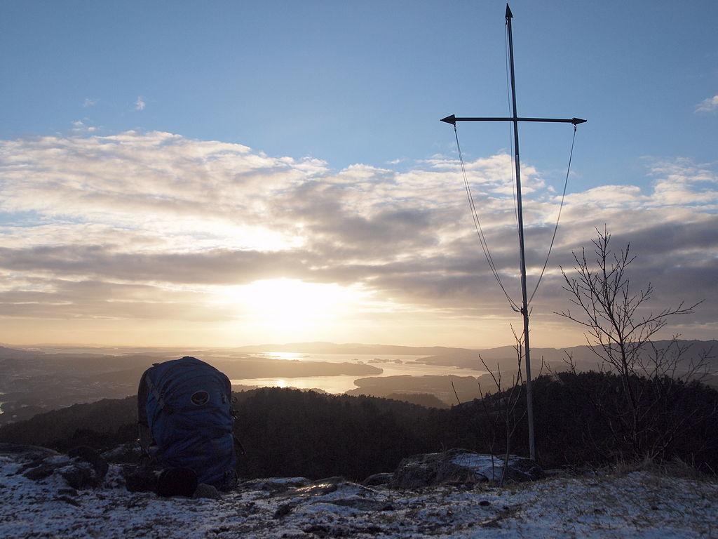 Viggoflaggspill (PC020907).JPG