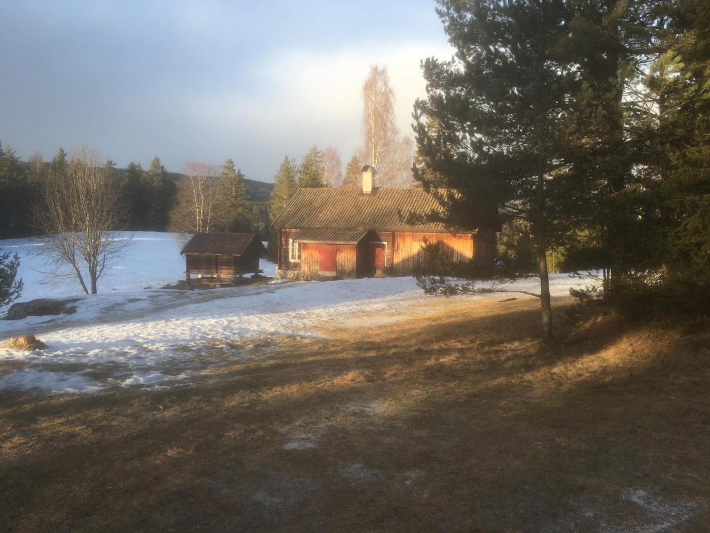 Aspesetra 261216-1.jpg