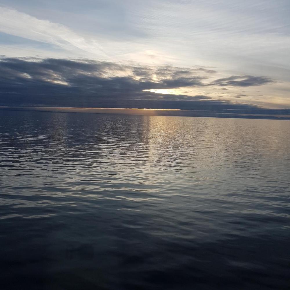 helene mobil bilder 648.jpg