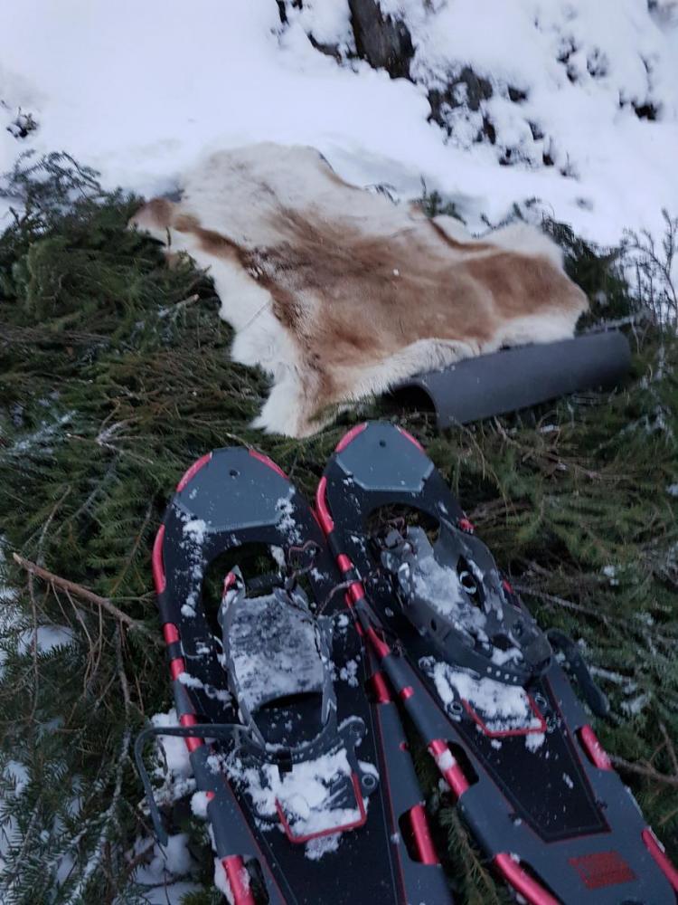 helene mobil bilder 1422.jpg