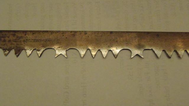 P1050063 (640x360).jpg