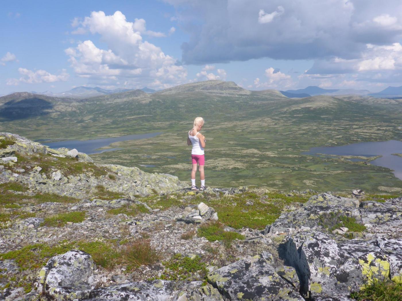 2014-07-24 11.35.34.jpg