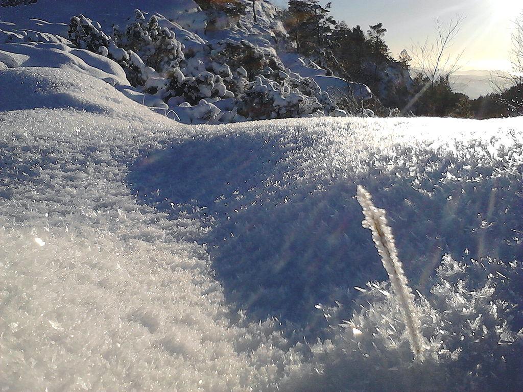 Grovløssnø (IMG_20170115_131357_0).jpg