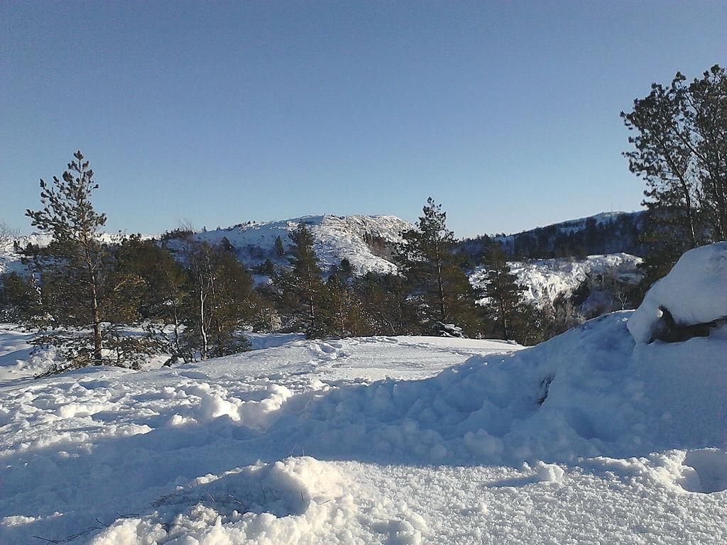 Fra Holefjellet (IMG_20170115_130748_0).jpg