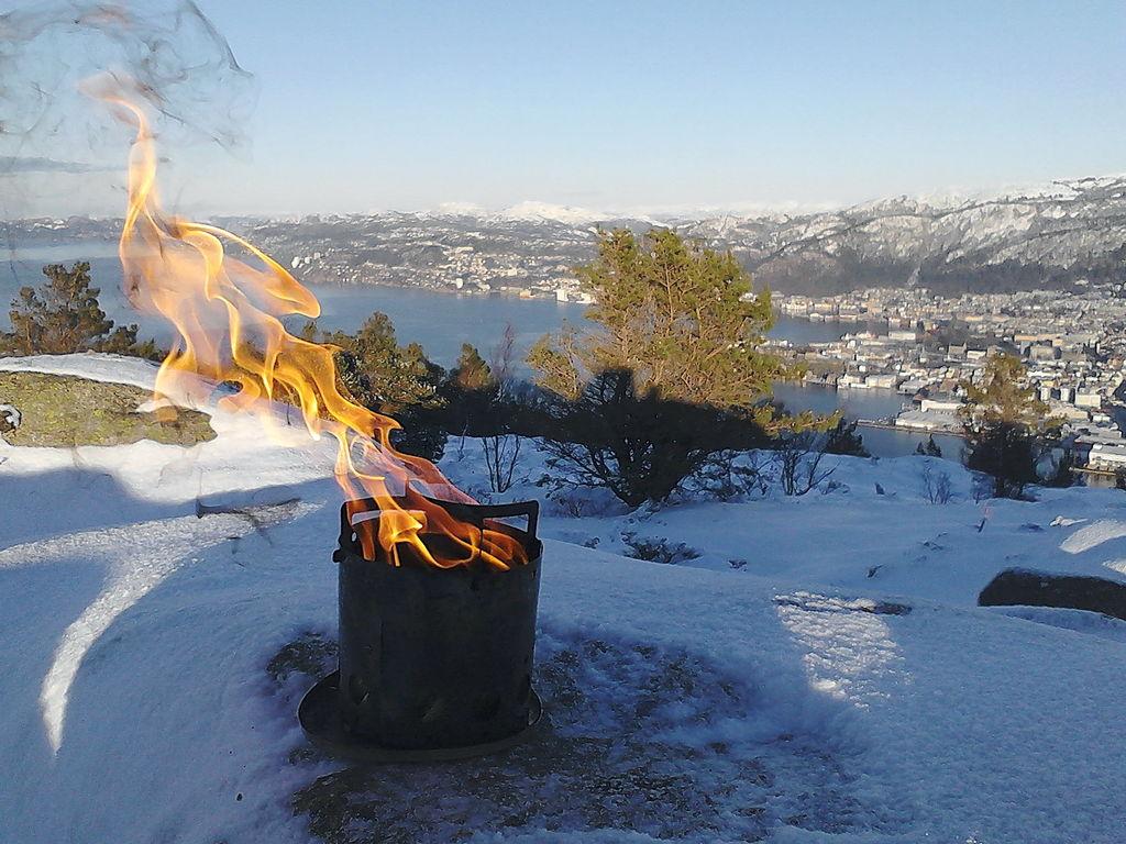 Oppfyring (IMG_20170115_133536_0).jpg