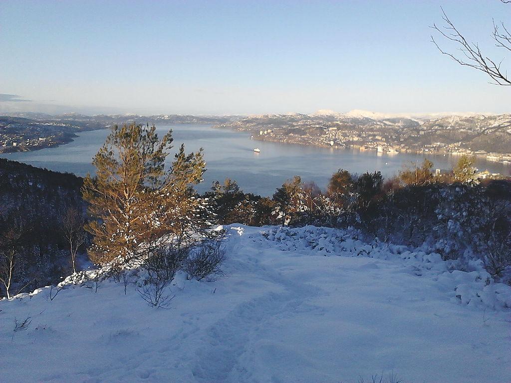 Nedover (IMG_20170115_142313_0).jpg