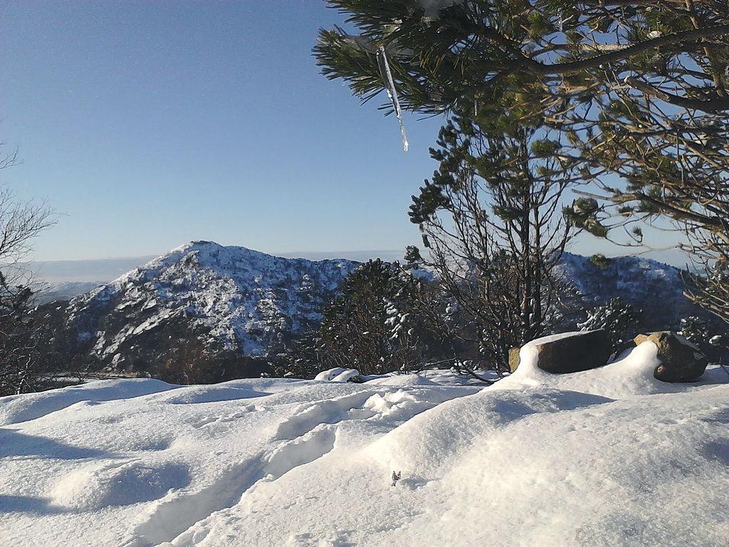 Originalmålet (IMG_20170115_125406_0).jpg