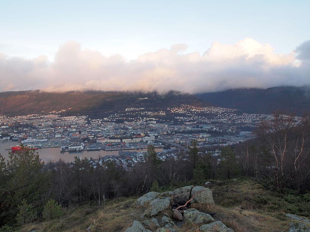 Skydekket vidde (P1230969).JPG