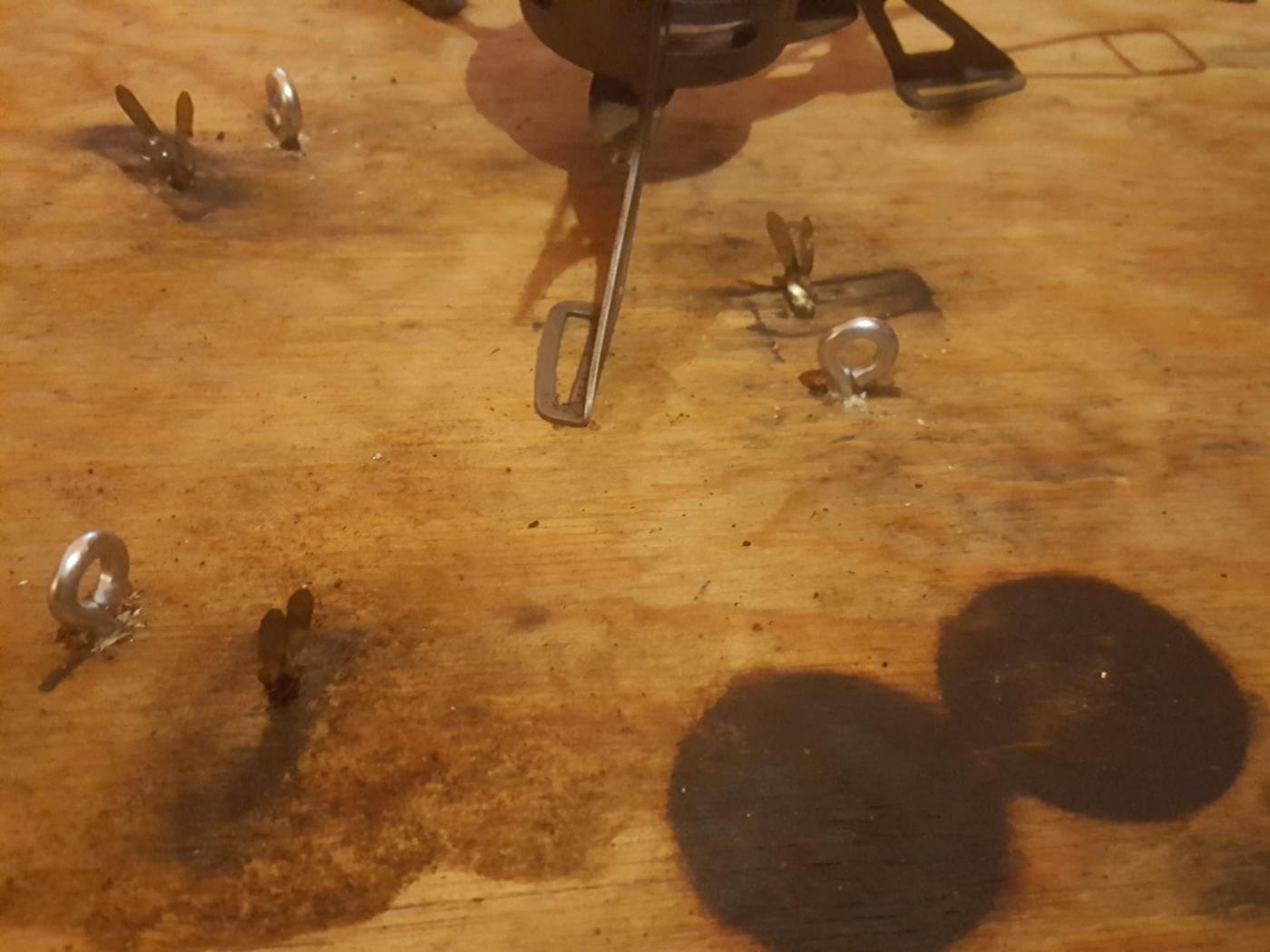 2017-01-25 22.41.10.jpg