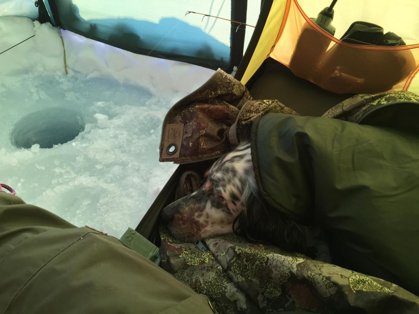 Dividalen mars 17 - 1.jpg