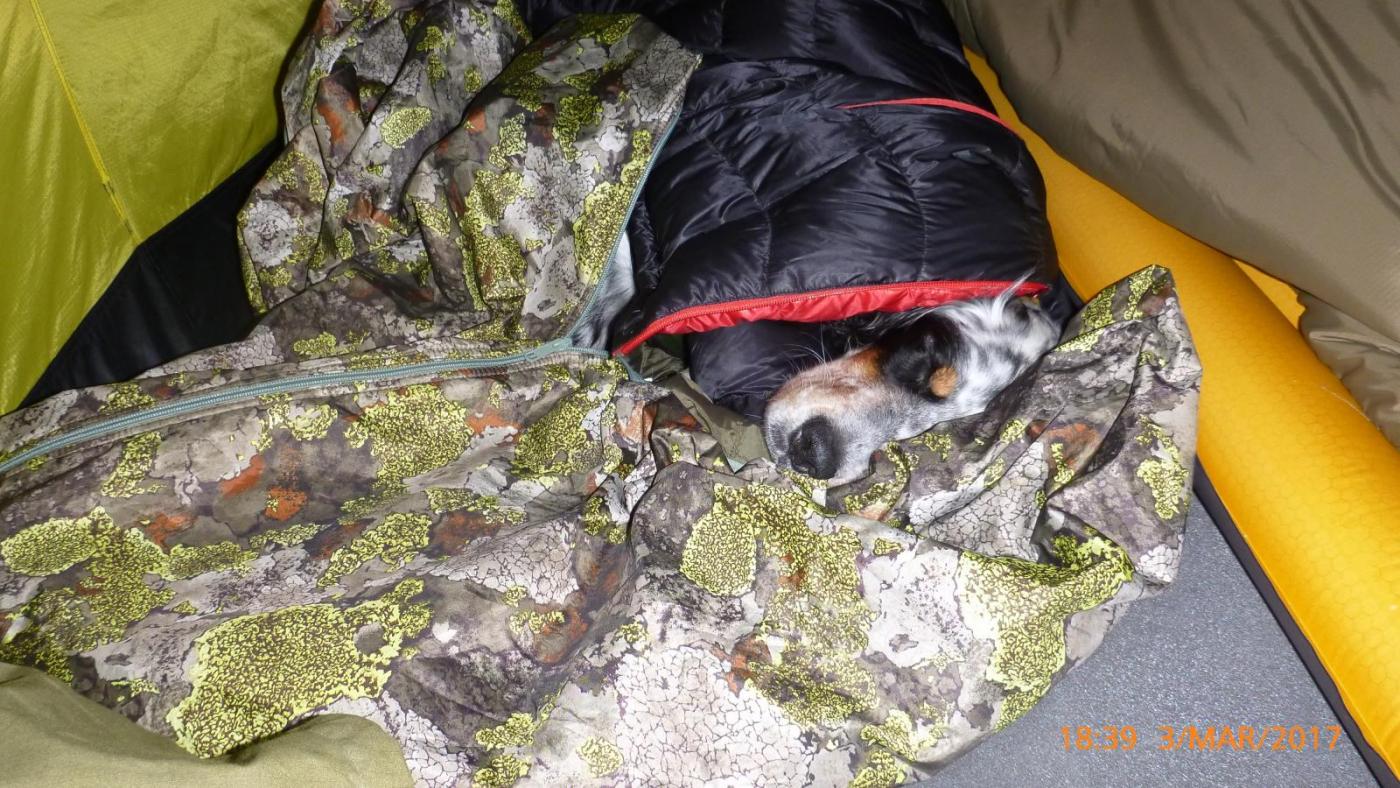 Dividalen mars 17 - 23.jpg