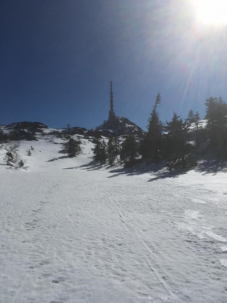 Knuten 26.03.17-5.jpg