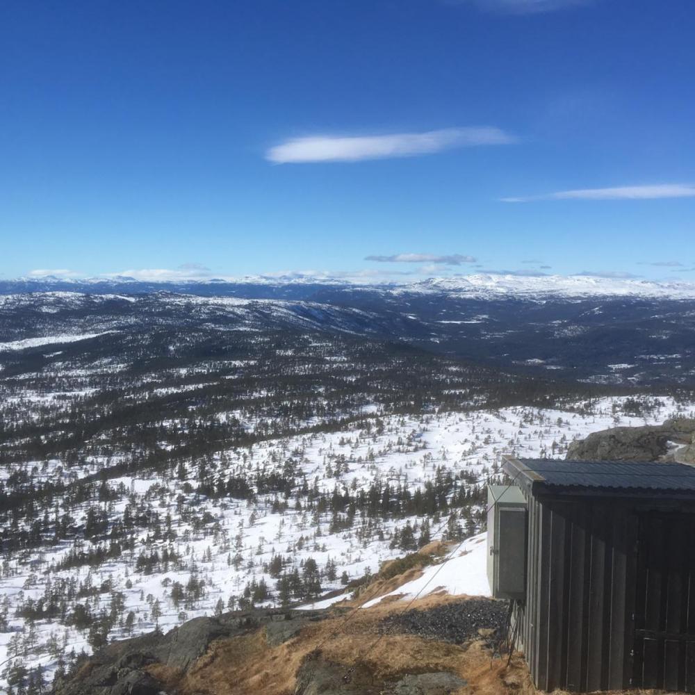 Knuten 26.03.17-6.jpg