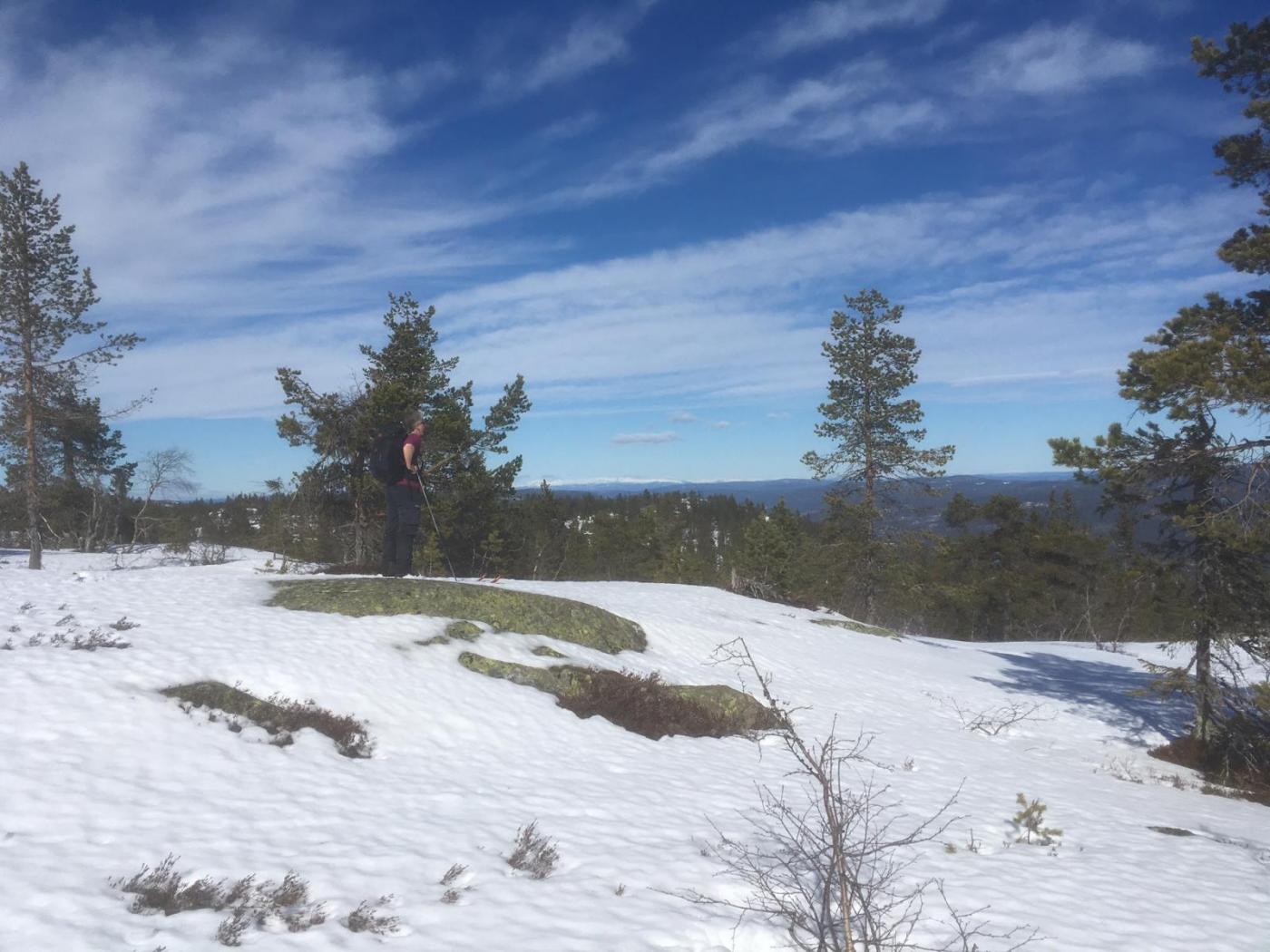 Knuten 26.03.17-4.jpg