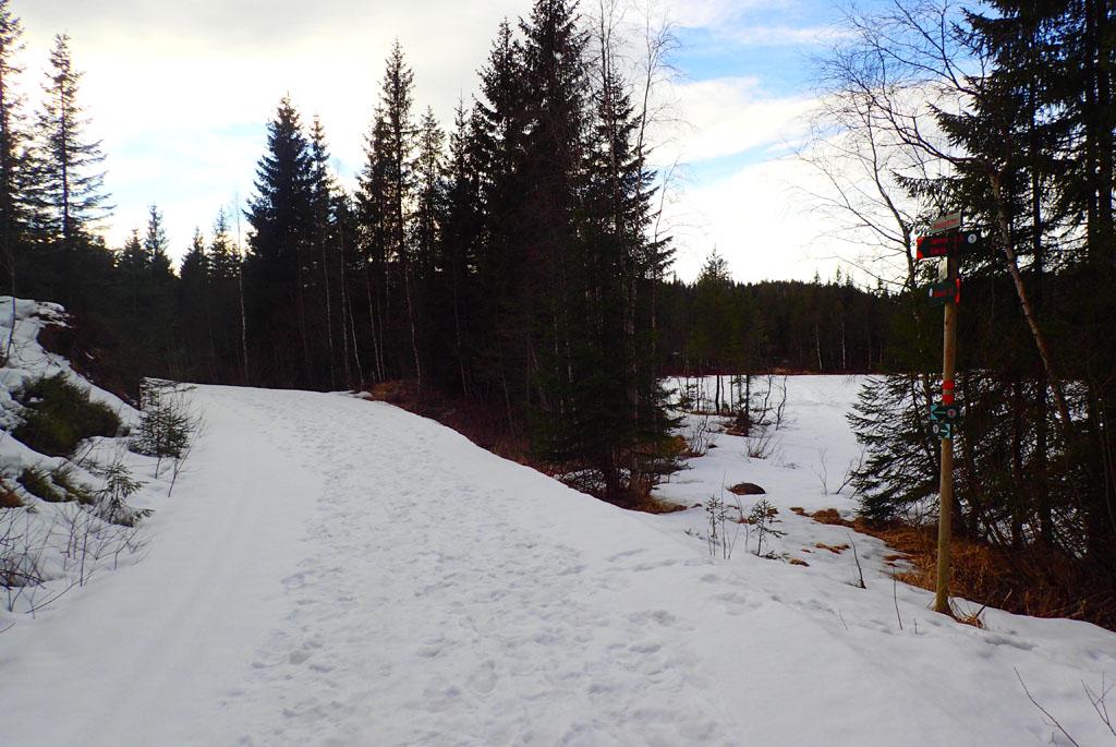 170420_Nordmarka_skitur_02.jpg.89bd0e2fe555b6100f868009ab8d4292.jpg