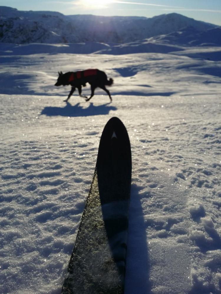 2016-01-06 12.02.23.jpg