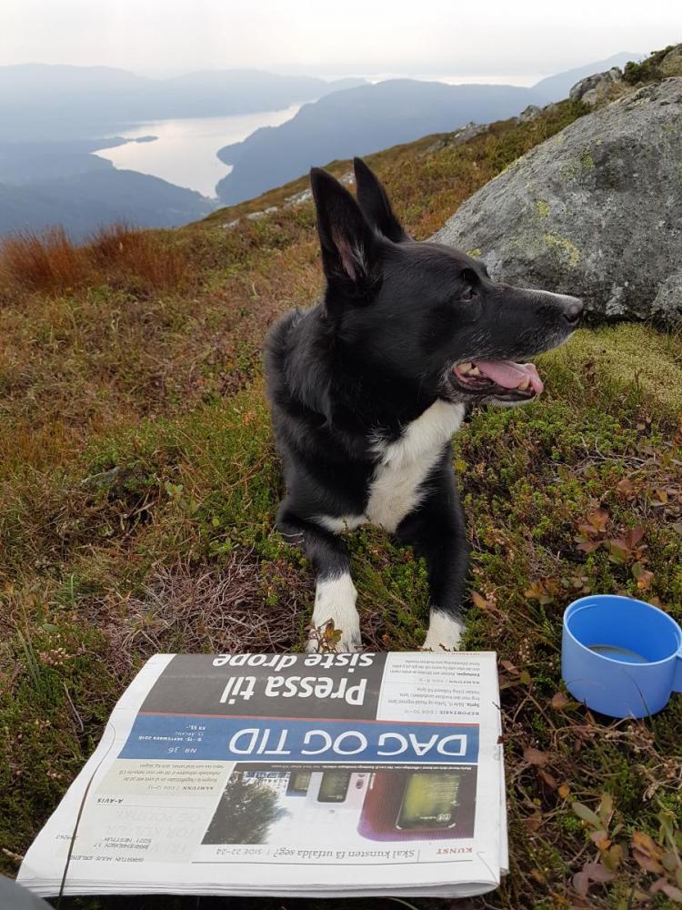 2016-09-14 12.15.25.jpg