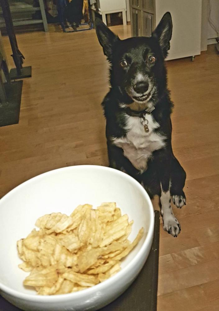 2017-03-15 10.07.55.jpg