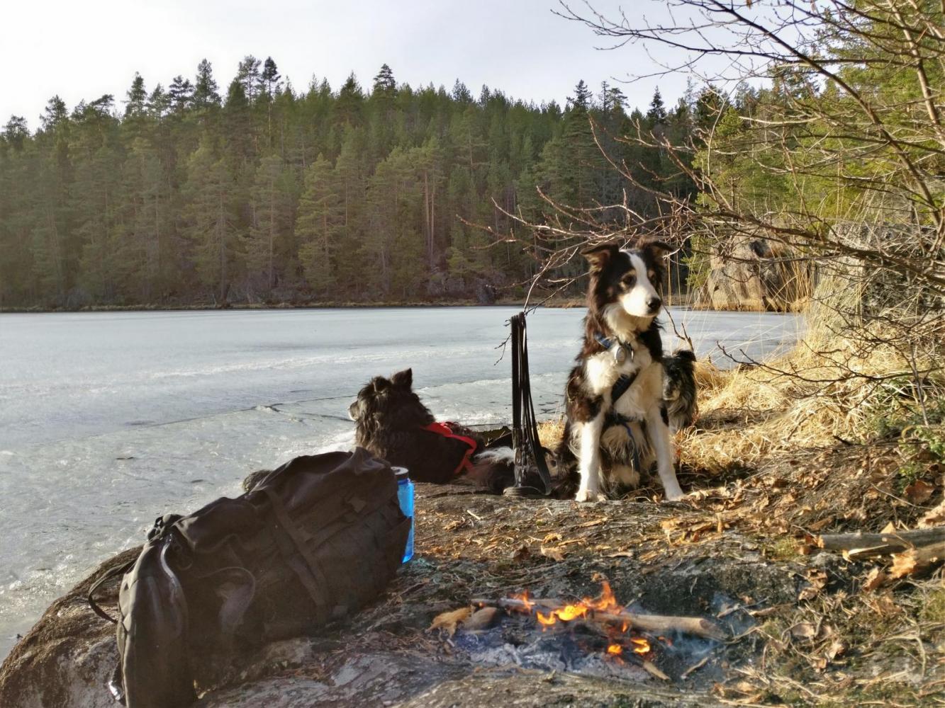 IMG_20170406_184345 (2).jpg