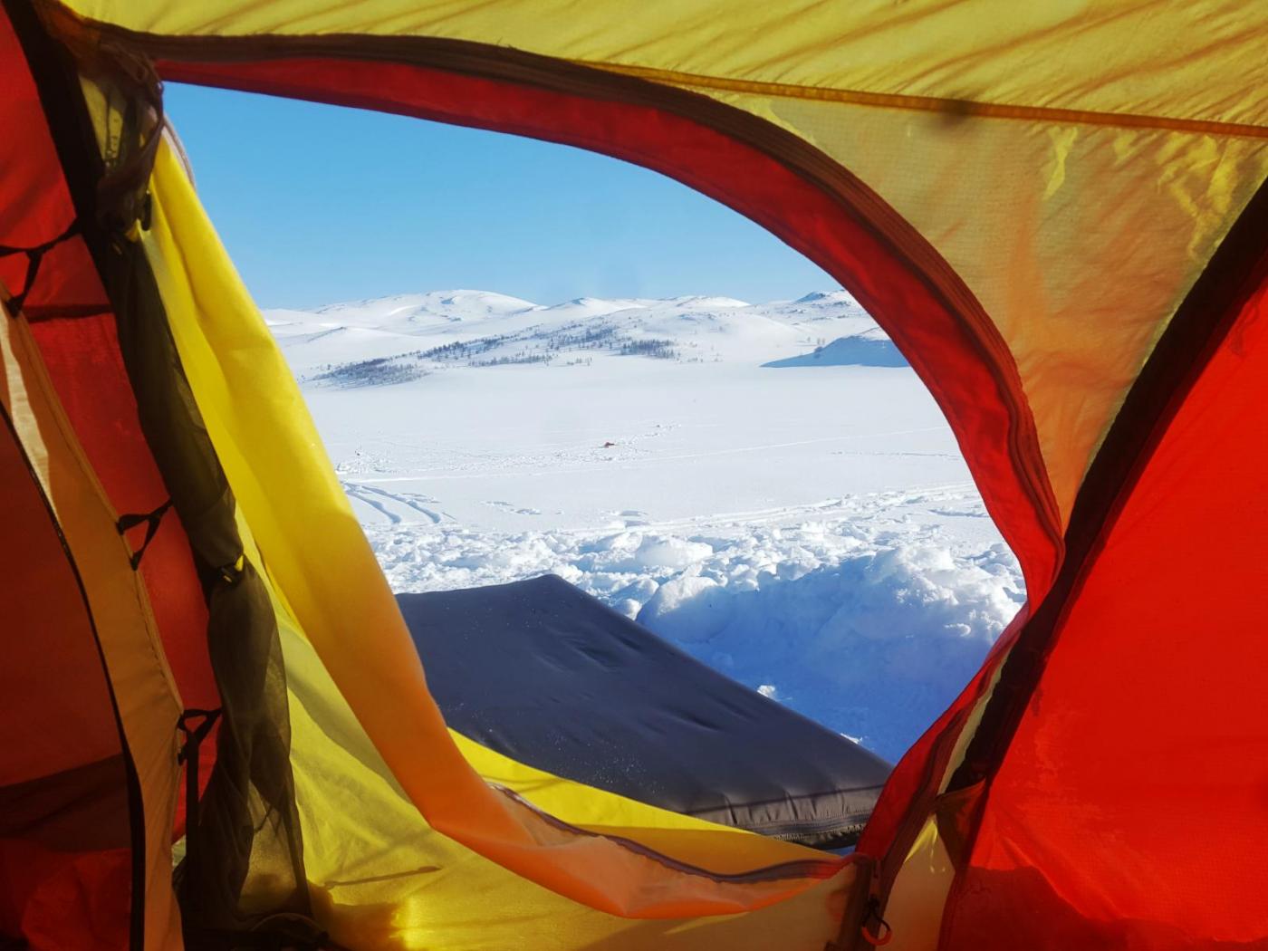 2017-04-09 08.27.14b.jpg