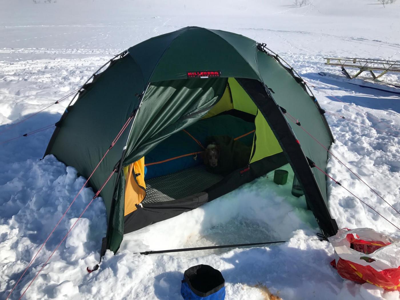 Dividalen april 17 - 4.jpg