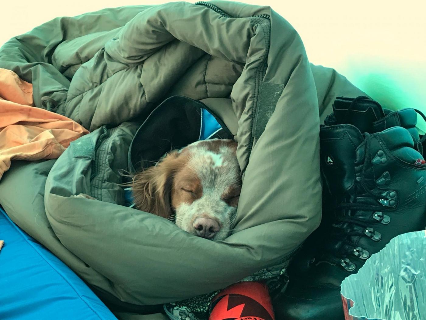 Dividalen april 17 - 37.jpg