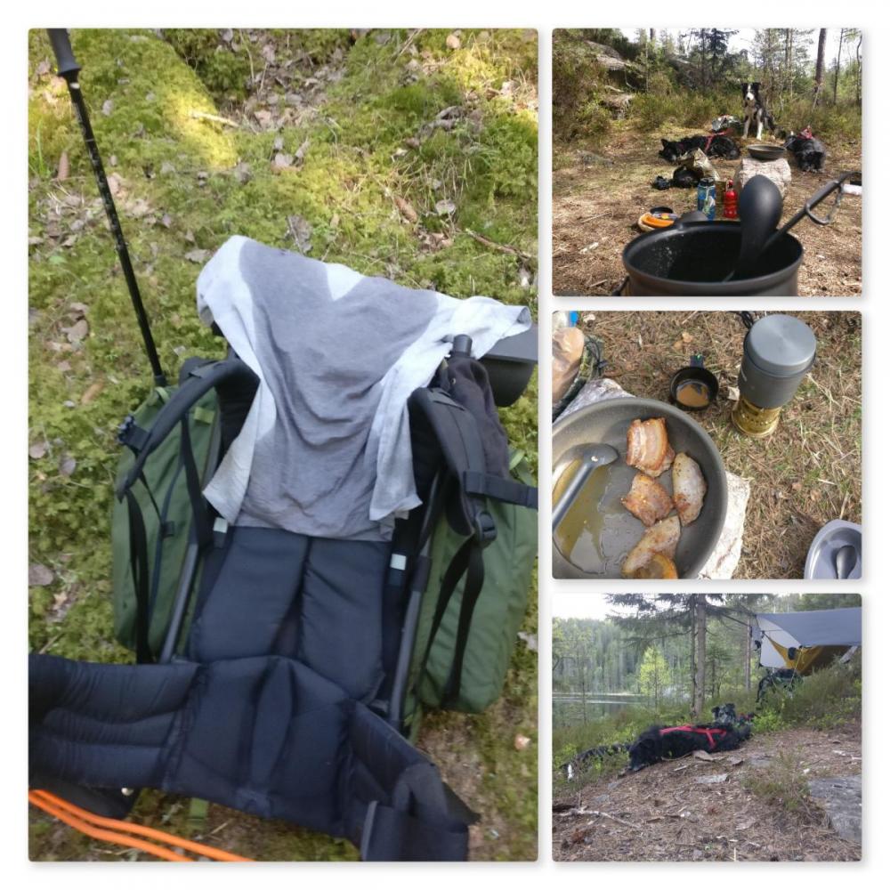 New Phototastic Collage2.jpg