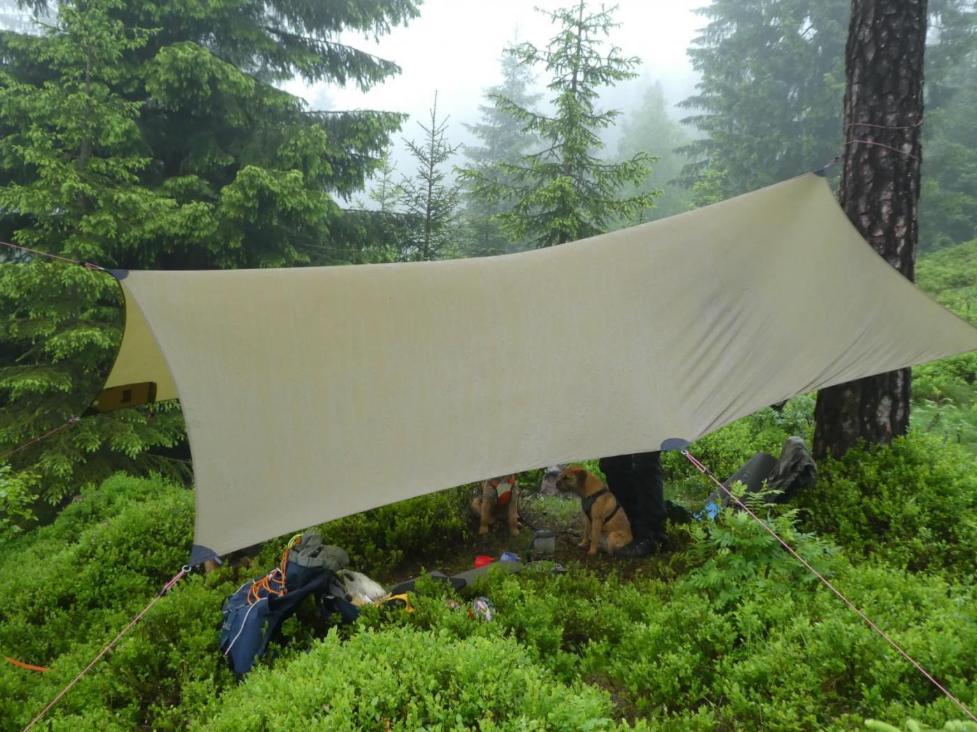 2017-06-11 09.51.08.jpg