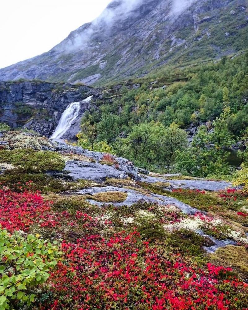 kaldhusdalen.jpg