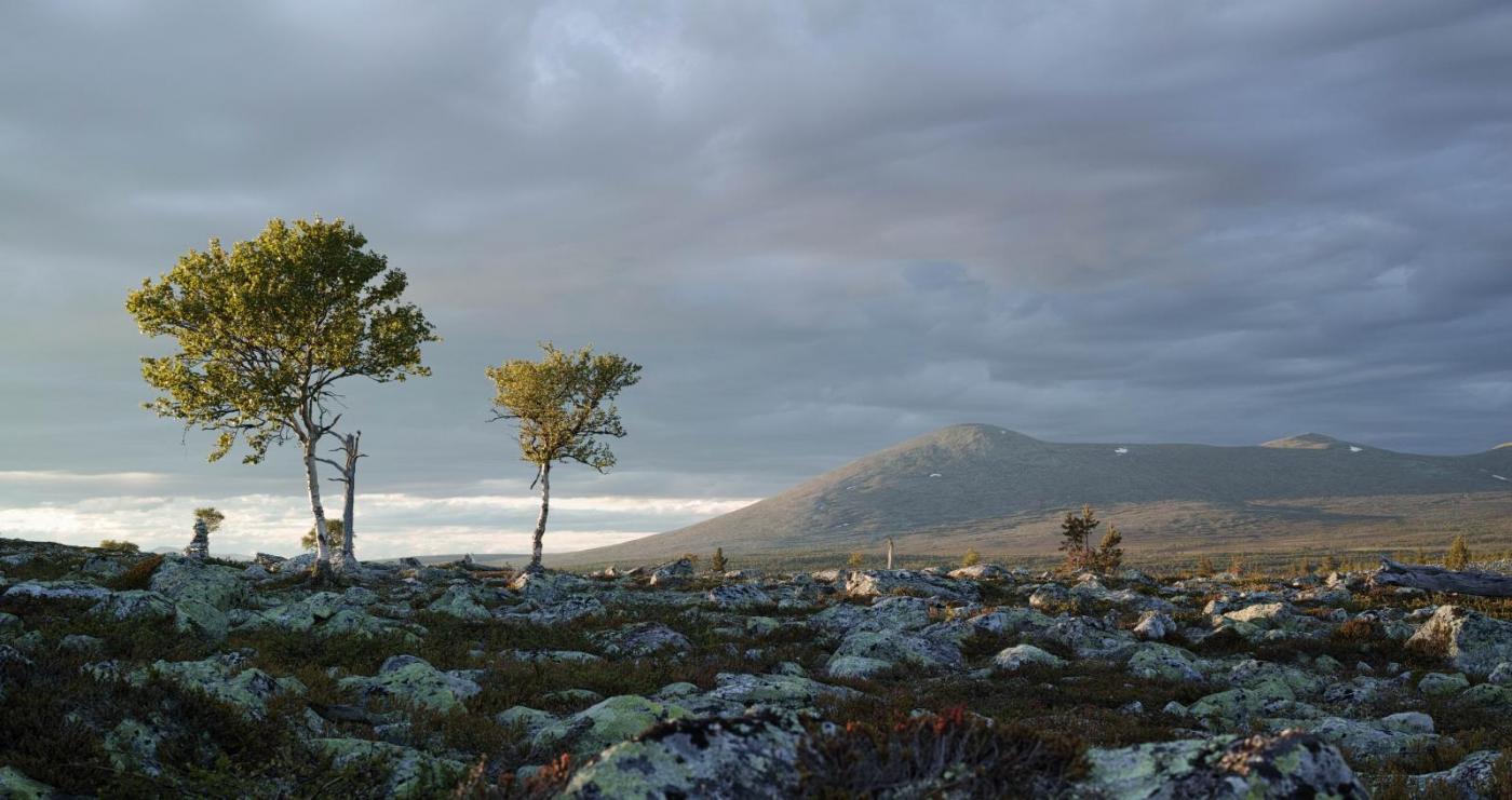 femunden1 (1 of 1).jpg