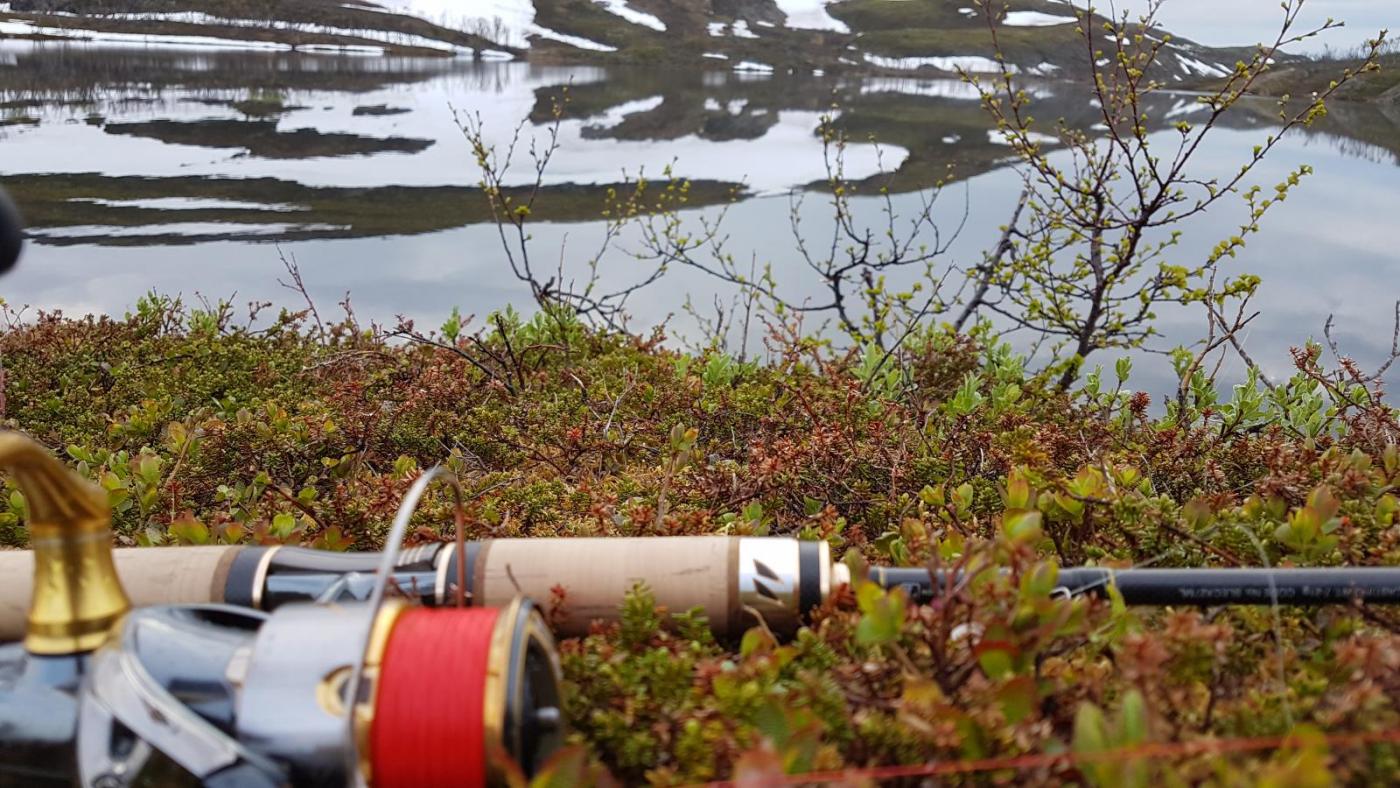 2017-07-01 21.59.58.jpg