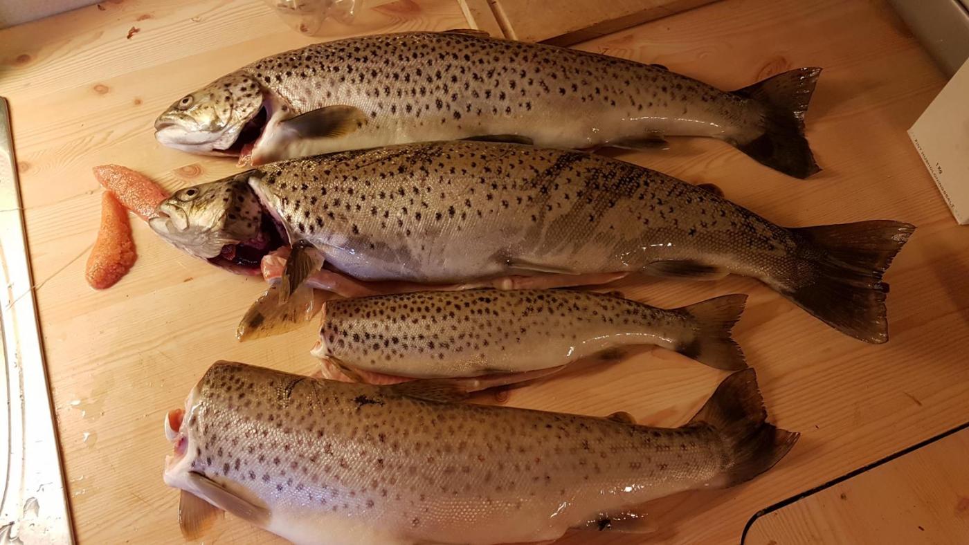 2017-07-03 20.48.39.jpg