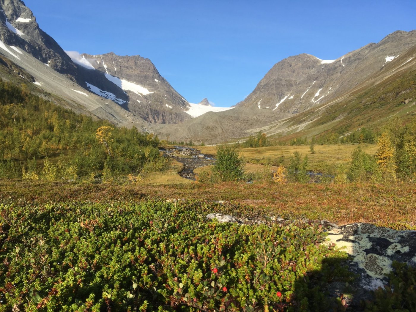 2017-09-08 08.32.03.jpg