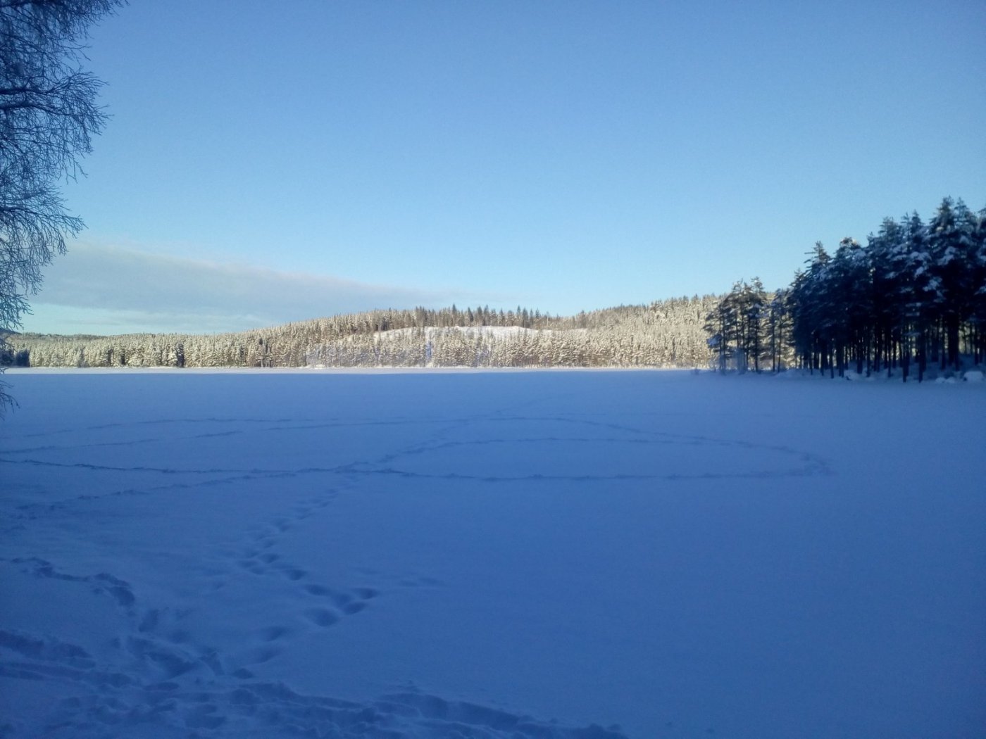 2018-01-06 13.31.14.jpg