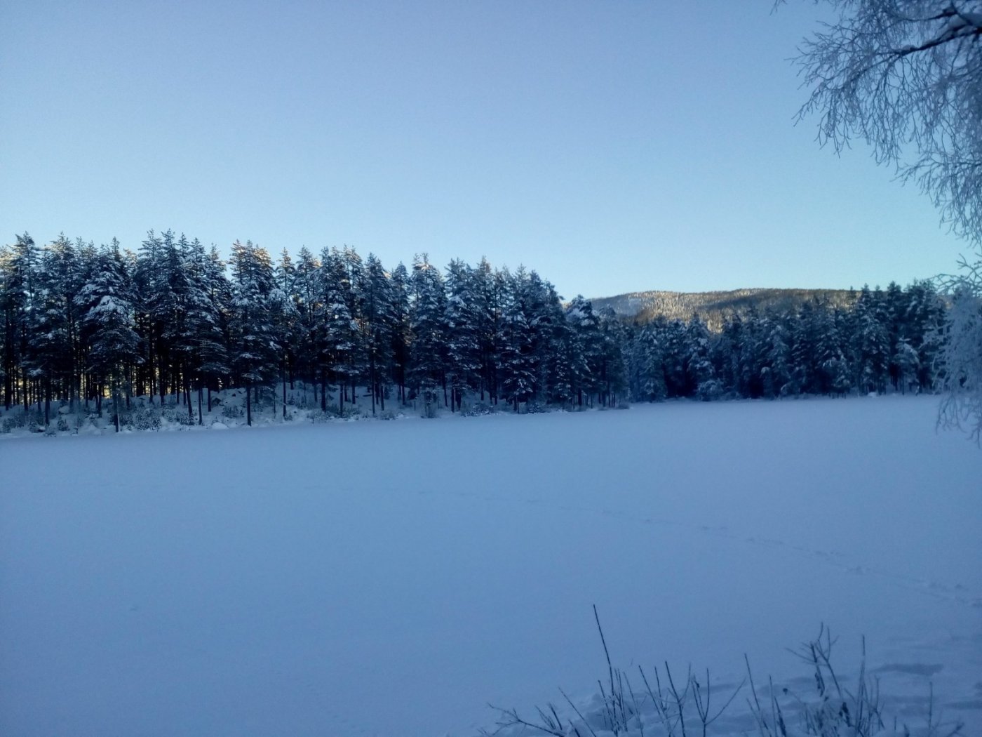 2018-01-06 13.31.16.jpg