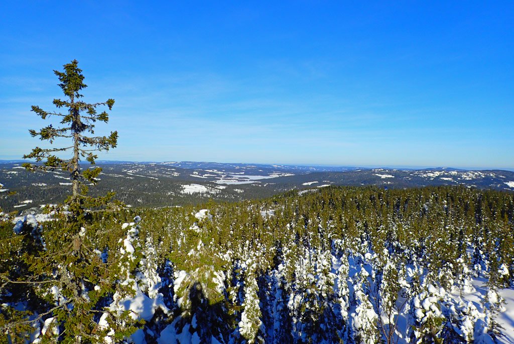 180318_08_Utsikt_fra_Oppkuvtaarnet.jpg.13c2572b6fef23936d0ca5c4ccd0f0b2.jpg