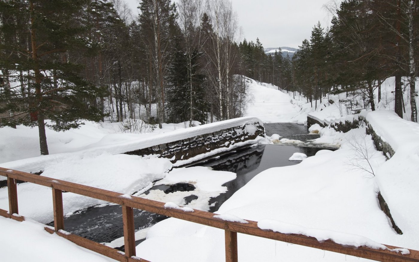finnskogen2018_1344.thumb.jpg.7a34319b46cc4af092f09db5647eb5cf.jpg