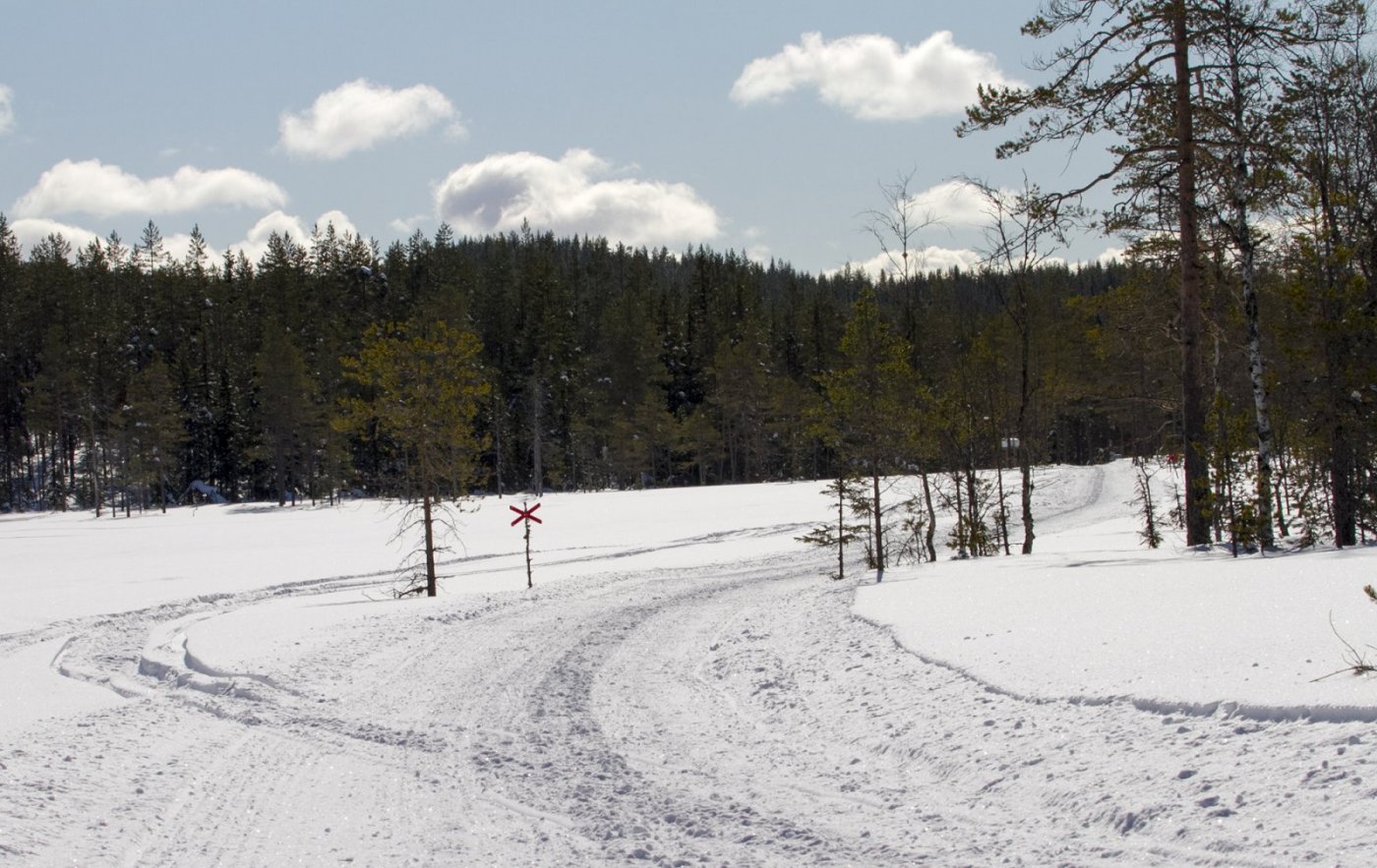 finnskogen2018_1920.thumb.jpg.1000857c2ee8c2bcf664b79bd5a8528e.jpg