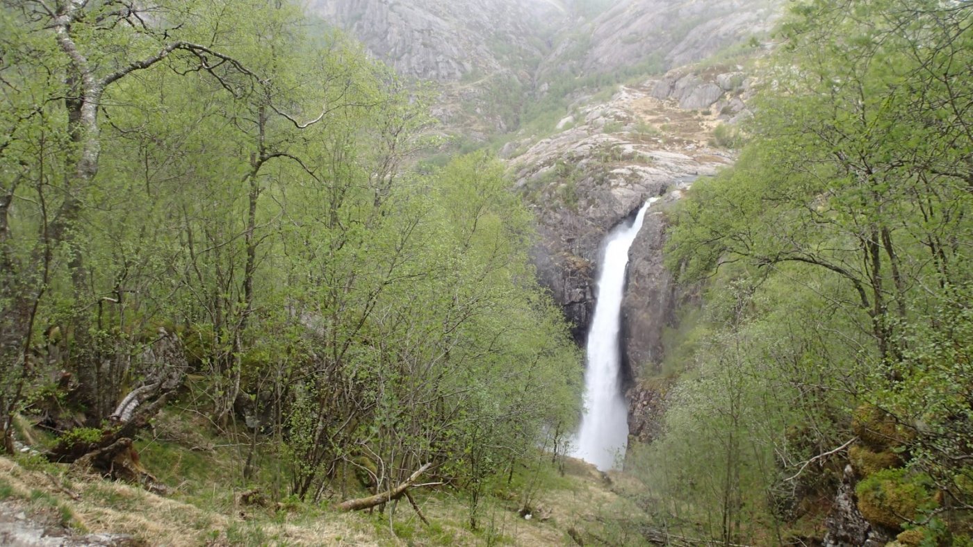 P5142666 – Kopi.JPG