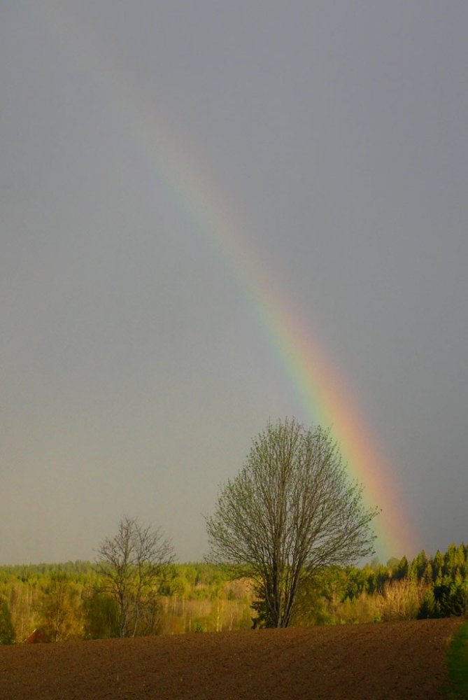 180510_11_Regnbue_ved_Lyse_1.thumb.jpg.c132b92a46f3899772bfdd41e551dba8.jpg