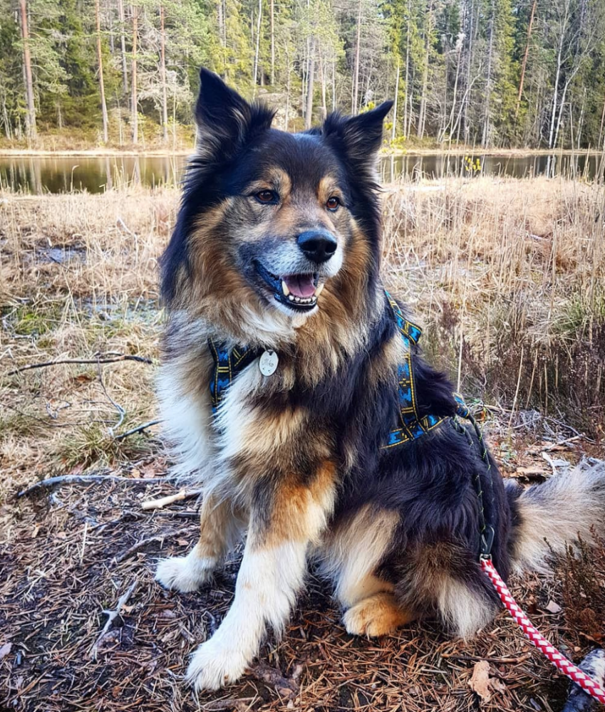 Skjermbilde 2018-05-08 kl. 18.25.06.png