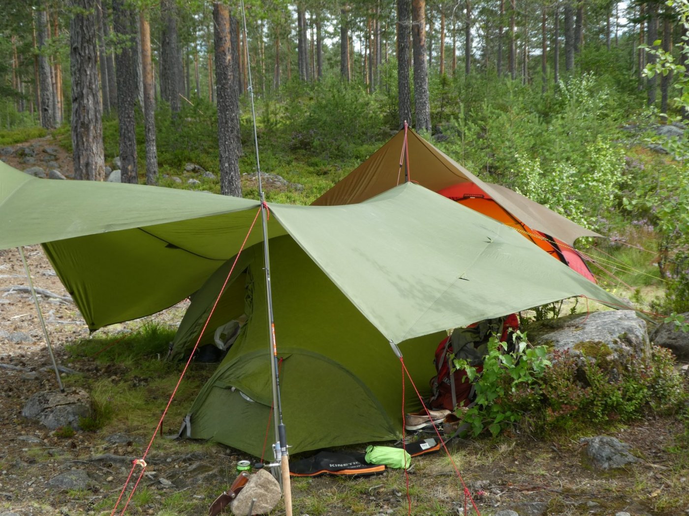 2017-07-29 13.41.02.jpg