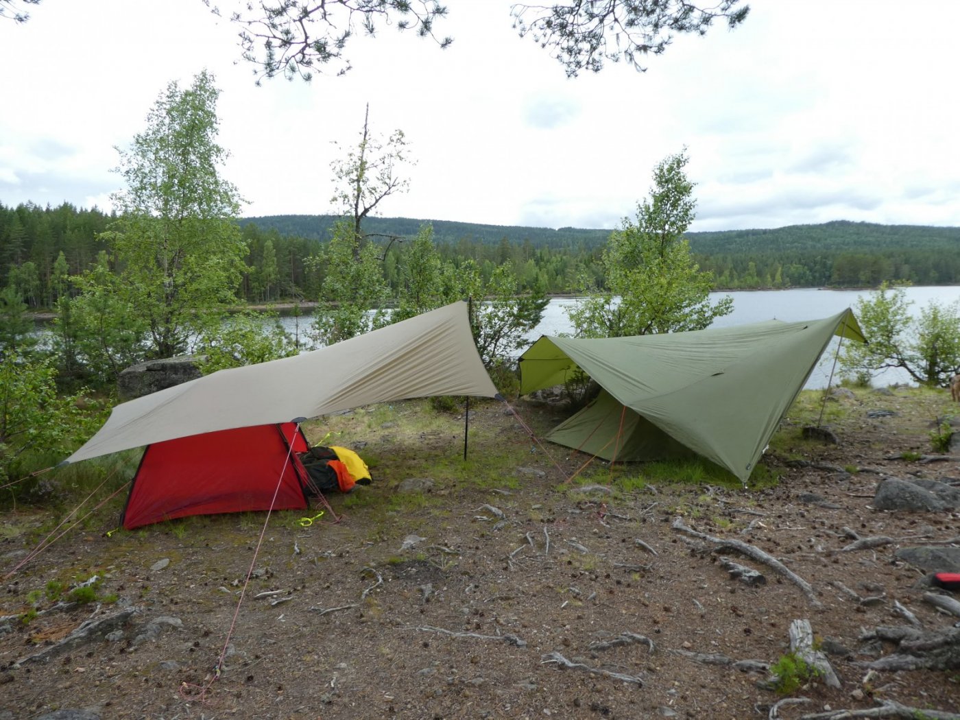 2017-07-29 12.49.01.jpg