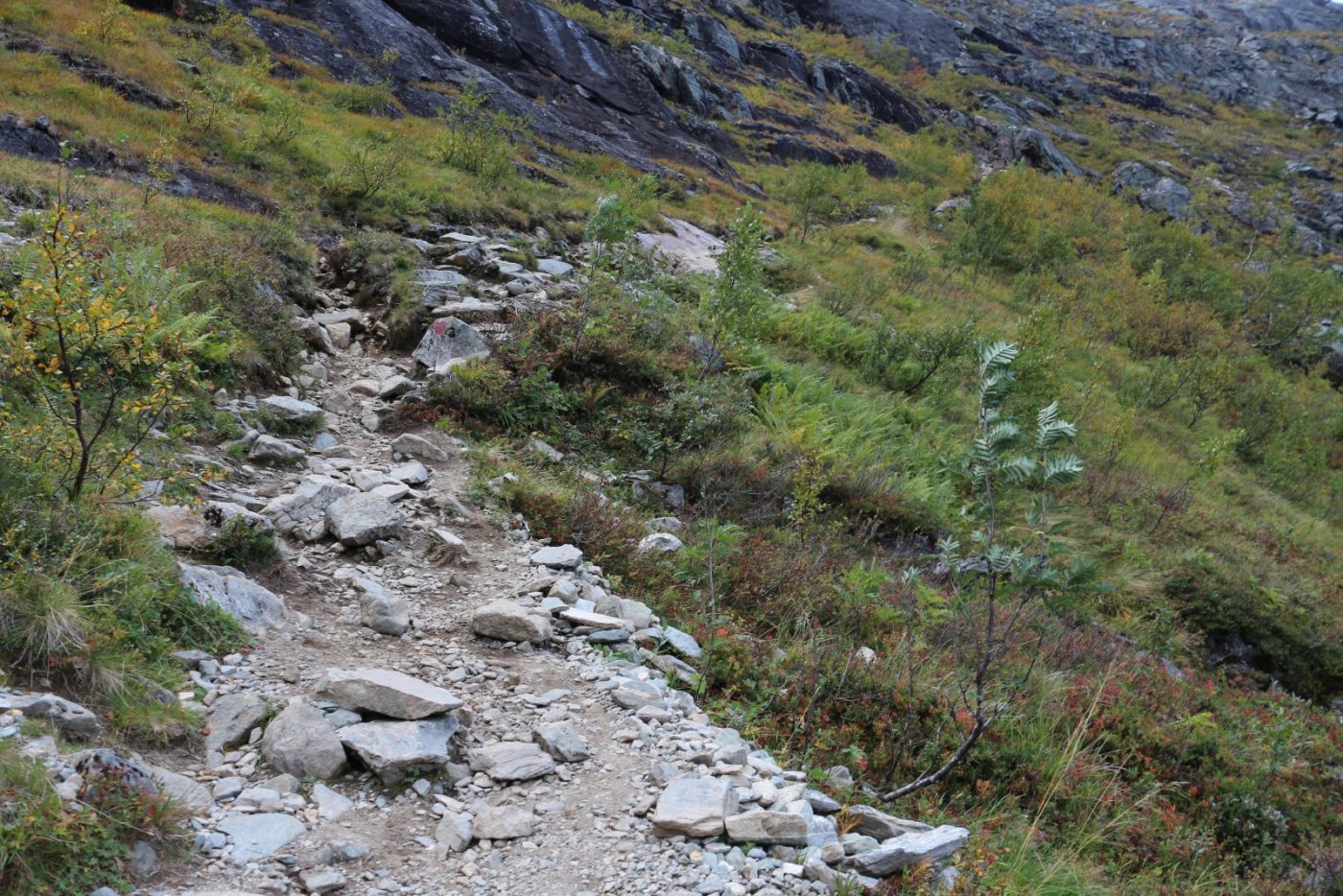 Litlefjellet_04_Path_2.thumb.JPG.4441bdfd32ae00ec5f0563838d2c6829.JPG