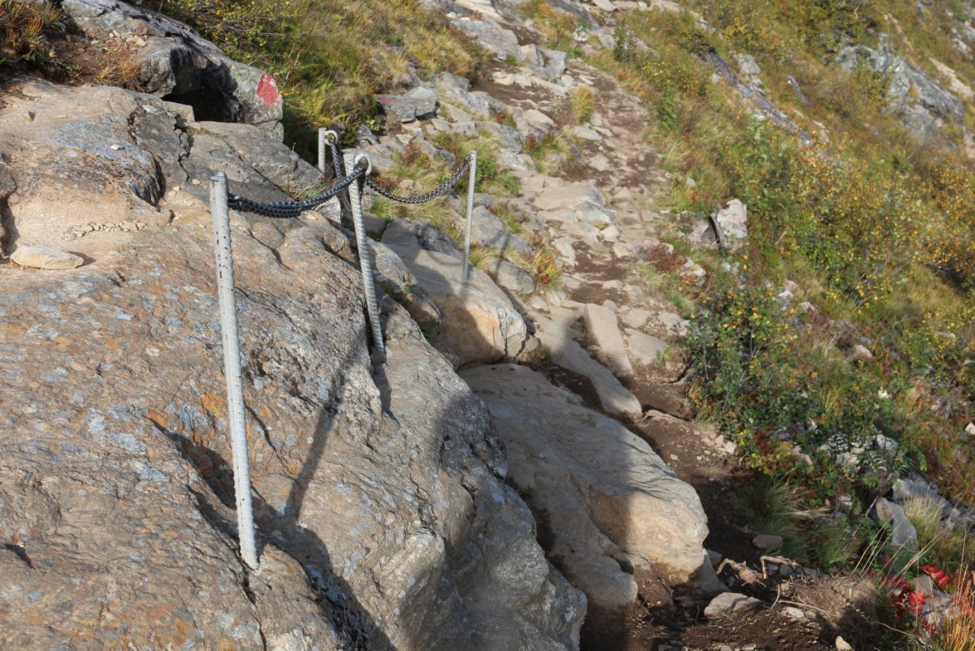 Litlefjellet_04_Path_5.thumb.JPG.5c63c5cb4ed1b39f24277802dcd31f21.JPG